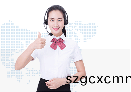 普賽特服務(wù)優(yōu)勢(shì)